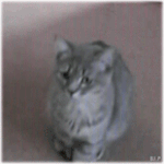 ---여자친구 <b>성형</b> 어떻게할까요--