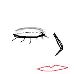 ★★★★★(사진有)쌍커풀있고 <b>아라</b>그리는분 공감98.9283476%★★★★★