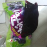 ((사진 有)) 이런 마이<b>구미</b> 본사람?