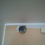 ★☆(사진有) 자고 일어 났는데 새가 <b>부엌</b>에서..ㅋㅋ★☆