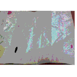 ☆★2편!!여선배가 여후배에게 집착하는 것 같아요!!★☆