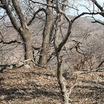 <b>야산</b>좀 봐죠.ㅠㅠ