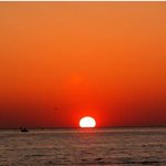 샐러리맨들이여 일어나라!!-샐러리맨 성공스토리