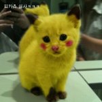 3d같은 <b>현실</b>세계의 웃긴사진 모음