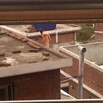 @@@@@@(사진有)바바리맨..?아니 벗은 남자가 여고 앞에.....