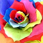 사진有)이런 <b>장미</b> 판다고 하면 살 것같아요?(주름지로 만든 대형...