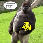 ★☆★☆★☆우리집에 바나나<b>열림</b>★☆★☆★☆