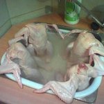 ※※※죽은<b>자의</b> 여유※※※