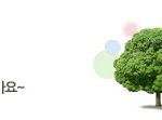 재활용으로 만든 크리스마스 <b>트레이</b>!!!