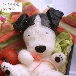 먹기 아까운 <b>완전</b> 예쁜 도시락