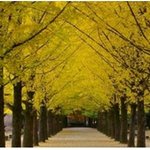 오랜만에 남이섬으로 가족나들이 가다!