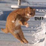 [아파트] 로즈말이의 무서운 이야기