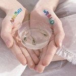 밑도 끝도 없이 사진 <b>투척</b>
