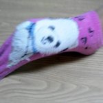 ★★★★양말과 <b>본드</b>의 만남 (사진,동영상有)★★★★