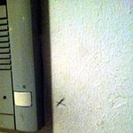 ##[진심필독!]<b>도둑</b>들표시진짜였어?!?! 레알소름돋는다##