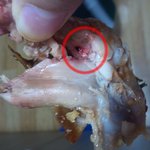 뻔뻔한 치킨집.