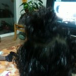 ♥♥♥♥♥♥♥울엄마염색해드리다가....♥♥♥♥♥♥♥♥♥