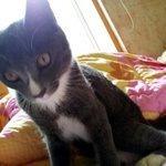 울집의 ♥귀엽둥이♥ 막내를 소개해보아요★