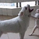 바보 아저씨 잘 때 쓰는 이야기