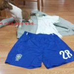 우리집 강아지는 술래잡기 하는 강아지~ (사진有)