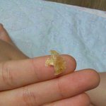 (혐오사진有)  여대생의 귓속