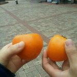 (사진有)★★★★★착한일 했어요ㅎㅎ★★★★★