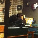(19+) (사진有) 밥안먹고 입술만먹는 야동커플 물리침