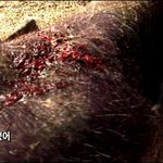 여성부에 길든 나라의 미래 - 여성부 폐지를 위하여