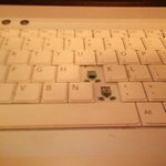 ★★★★★(사진有)키보두가 빠졋오욤 ㅠㅠ★★★★★