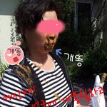 개똥 드셔보셨어요?