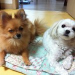 사진 有) 아들만두명있어요.ㅋㅋㅋ