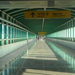 ★★★사진有) 22녀 생일맞이 홀로담양여행