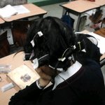 [사진有]★훗! <b>뒷북</b>의 진리 ★(종이펌+볼펜펌+땋기)