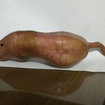 ★★★★ 이게   쥐 고구마 ? ★★★★
