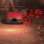 (사진有)4~8세 아이 납치사건