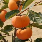 또수정ㅠㅠ))▶▶▶▶19금 감사진ㅋㅋㅋㅋㅋㅋㅋㅋ◁◁◁◁