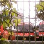 삼화고속 버스에서 만난 훈남이ㅋㅋㅋㅋㅋㅋㅋㅋㅋㅋㅋㅋㅋㅋㅋ