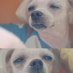 요즘 판은....ㅠㅠ