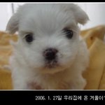 ☆★☆★☆★(사진有)우리집도 여자가 5명이예요1☆★☆★☆★☆★
