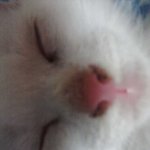 일상이야기 1