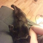 [사진有<b>재석</b>] ★☆★☆★뉴욕 흑형과의 위험한 동거★☆★☆★