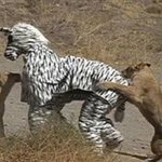 코스프레의 <b>최후</b>ㅎ