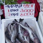 나 사칭하는 애기들 봅니다~!