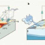 <b>엘니뇨</b> 모도키를 아시나요?