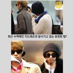 진정한 재<b>활용</b>그룹 짜잔!!