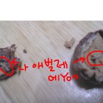 초콜렛에서 애벌레가 ㅋㅋㅋㅋㅋ
