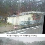 ★★★★★[사진有]  호그와트 만년설★★★★★