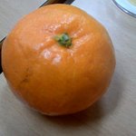 ▶▶▶▶▶▶▶▶▶귤 원상<b>복구</b> 시키기◀◀◀◀◀◀◀◀◀◀◀◀
