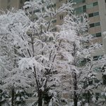 ★★강원도 <b>눈구경</b> 하세요★★