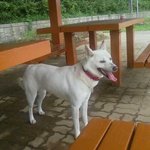 수정)★★★★[사례금 100만원]찾았습니다!!^^ (광양, 순천)...